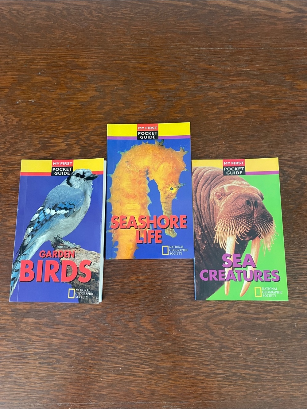 Pocket guide books for birds- sea creatures and seashore life like new